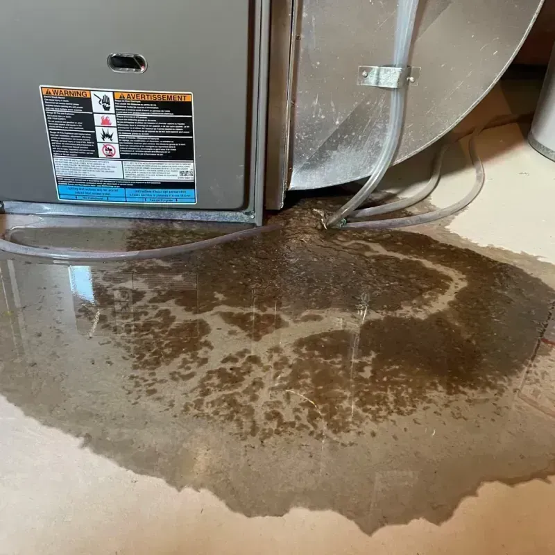 Appliance Leak Cleanup in Republic, MO